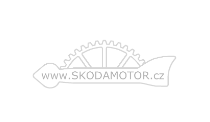 Škoda motors